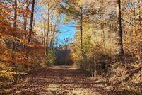 Land for sale in Scott County, Tennessee