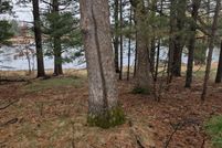 Land for sale in Waushara County, Wisconsin
