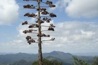 Undeveloped Land for sale in Grant County, New Mexico