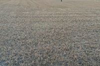 Farm and Ranch for sale in Nueces County, Texas