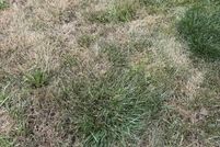 Undeveloped Land for sale in Allen County, Indiana