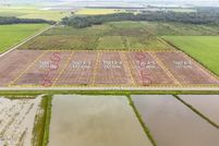Land for sale in Acadia Parish, Louisiana