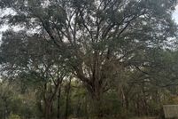 Land for sale in Columbia County, Florida