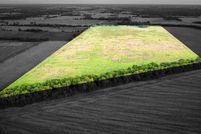 Land for sale in Lamar County, Texas