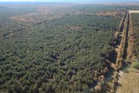 Undeveloped Land for sale in Virginia Beach City County, Virginia