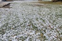 Land for sale in Hamilton County, Iowa