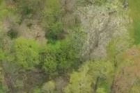 Undeveloped Land for sale in Crawford County, Pennsylvania