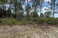 Land for sale in Okeechobee County, Florida