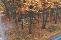 Undeveloped Land for sale in Benzie County, Michigan