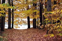 Undeveloped Land for sale in Belknap County, New Hampshire