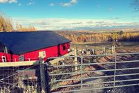 Land for sale in Orleans County, Vermont