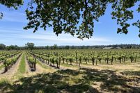 Land for sale in Sonoma County, California
