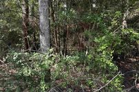 Land for sale in Jasper County, Texas