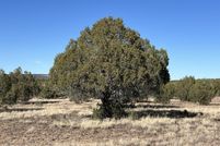 Timberland Property for sale in Coconino County, Arizona