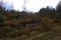 Undeveloped Land for sale in Bladen County, North Carolina