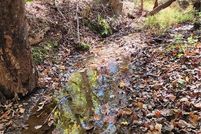 Land for sale in Fannin County, Georgia