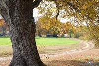 Land for sale in Lunenburg County, Virginia