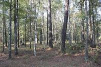 Land for sale in Livingston Parish, Louisiana