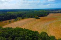 Land for sale in Henry County, Alabama