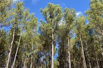 Land for sale in Chatham County, North Carolina