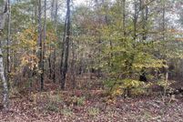 Land for sale in Tallapoosa County, Alabama