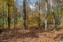 Timberland Property for sale in Monroe County, Tennessee