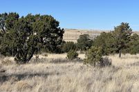 Undeveloped Land for sale in Apache County, Arizona