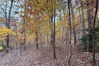 Undeveloped Land for sale in Gordon County, Georgia