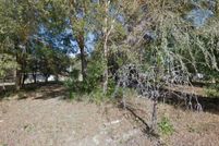 Land for sale in Levy County, Florida