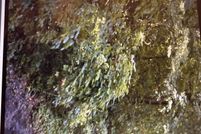 Land for sale in Vanderburgh County, Indiana