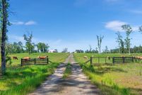Land for sale in Tyler County, Texas