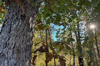 Land for sale in Tallapoosa County, Alabama