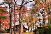 Land for sale in Hardy County, West Virginia