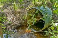 Land for sale in Brunswick County, Virginia