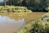 Land for sale in Pike County, Alabama