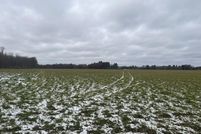 Undeveloped Land for sale in Montcalm County, Michigan