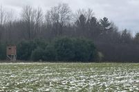 Land for sale in Montcalm County, Michigan