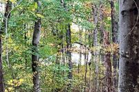 Lakefront Property for sale in Henry County, Tennessee