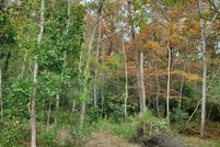 Land for sale in Jackson County, Mississippi