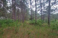 Land for sale in Adams County, Wisconsin