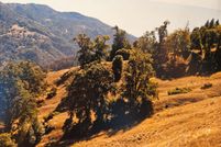 Land for sale in Mendocino County, California