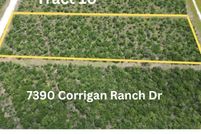 Land for sale in Bee County, Texas