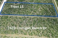 Land for sale in Bee County, Texas