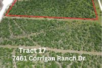 Land for sale in Bee County, Texas