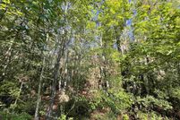 Homesite for sale in Jasper County, Texas