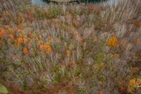 Farm and Ranch for sale in Athens County, Ohio