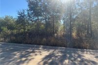 Farm and Ranch for sale in Brantley County, Georgia