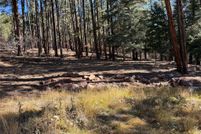 Land for sale in Rio Arriba County, New Mexico