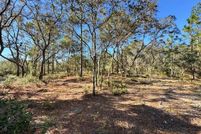 Undeveloped Land for sale in Jackson County, Florida