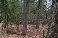 Land for sale in Arenac County, Michigan